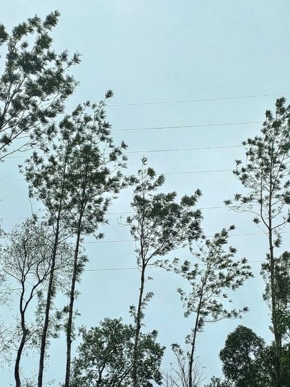 A candid moment from one of our recent trips. We believe that the best part of travel is the people you meet and the memories you create together. Join our tribe and let's make some new ones.