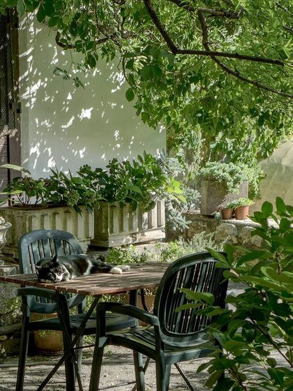 A shady and tranquil patio corner, filled with a variety of potted plants and climbing vines. We design cozy nooks where you can escape and connect with nature.