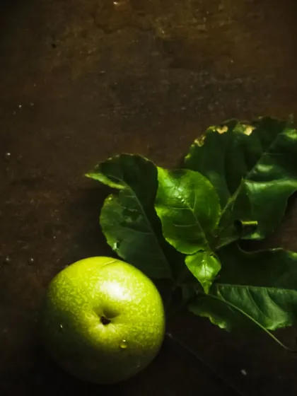 A simple, dark, and moody still life of a passion fruit and leaves, focusing on the natural texture and color of the ingredients.
