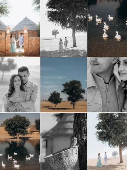 A collection of images from the Khimsar dunes, featuring the couple, the unique landscape, and even some local wildlife like the geese by the oasis.