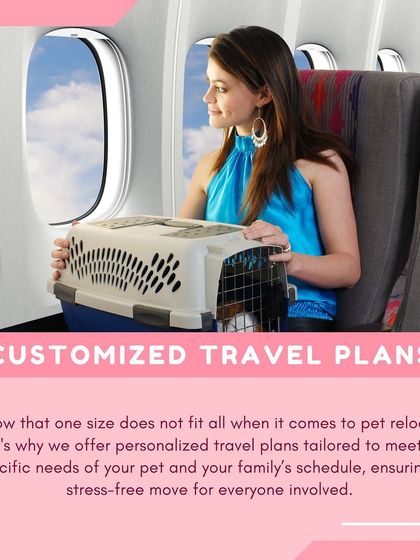 Global Pet Cab - Domestic Pet Relocation Your Pet Travel Questions, Answered photo 26