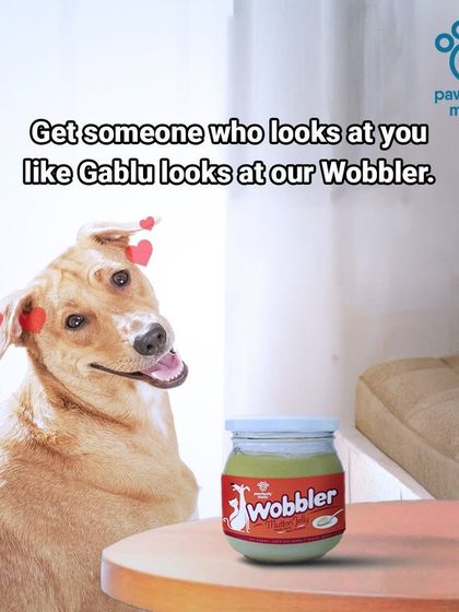 Get someone who looks at you the way Gablu looks at our Wobbler. That's the look of true love for our tasty chicken jelly.