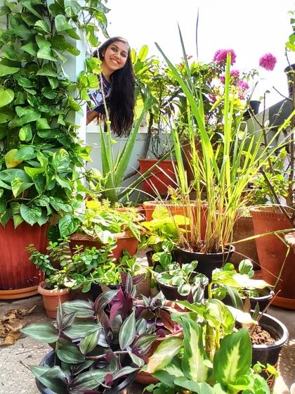 Welcome to my happy place. My garden is a lush green jungle of pots and planters on my terrace. This shows you don't need a big yard, just a bit of sun and enthusiasm to create your own green paradise.