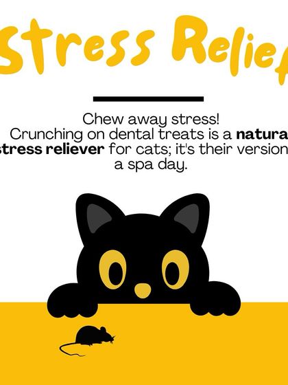 Oh My Dawg - Pet Supplies Grooming & Hygiene photo 9