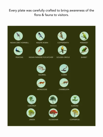 Education is woven into the trail's design. I created these illustrative plates to raise awareness of the local flora and fauna, helping visitors identify the birds, animals, and trees they might encounter on their walk.
