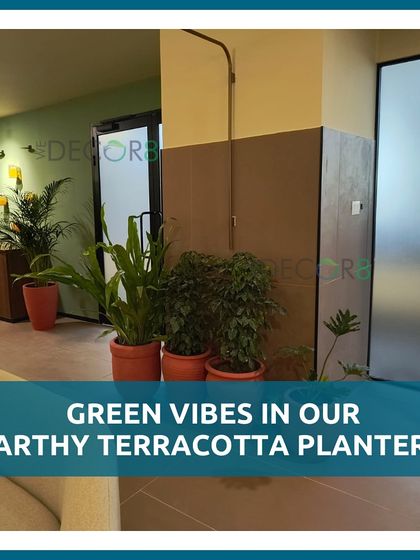 We love using earthy terracotta planters to create a warm, natural vibe. This corner is filled with a variety of plants, including palms and ficus, all housed in matching pots.