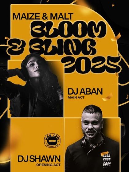 Shawn - Event DJ & VJ Services Themed Parties & Special Events photo 3