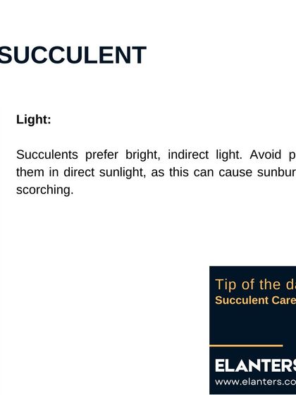 Expert Plant Care & Tips photo 72