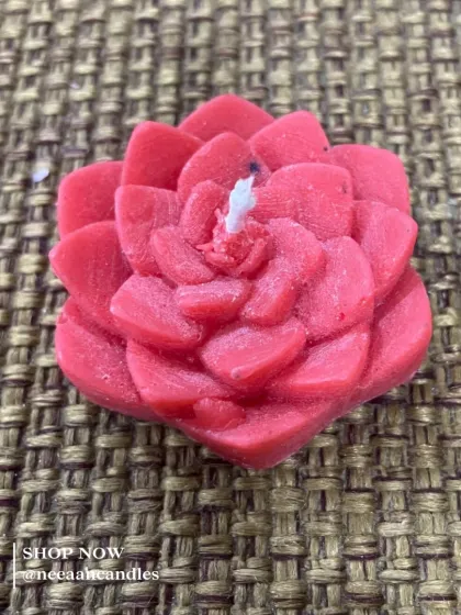 Blooming with warmth. This handcrafted red succulent candle adds a touch of nature and charm to any space.