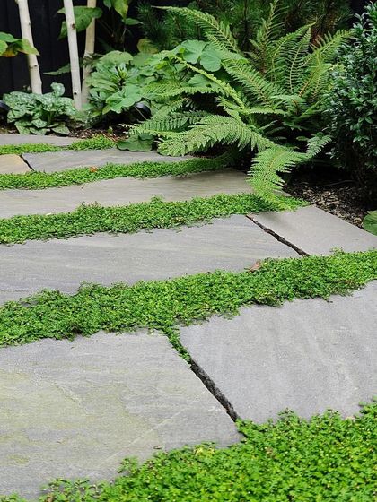A pathway made from large, irregular stone slabs with a hardy groundcover planted in the wide gaps. This technique creates a softer, more organic feel than traditional solid paving.
