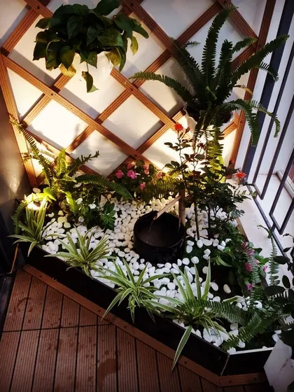 This compact corner garden is built around a small, bubbling water fountain. The sound of water, combined with lush plants and a bed of white pebbles, transforms a forgotten corner into a point of interest.