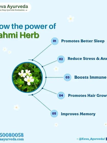 Know the power of the Brahmi herb. It is an ancient Ayurvedic remedy known for improving memory, promoting better sleep, reducing stress, and encouraging hair growth.