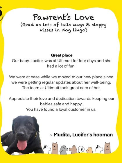 Lucifer's family trusted us while they were moving, and we're so happy we could provide a safe and fun home for her. This is the peace of mind we strive to offer every pawrent.