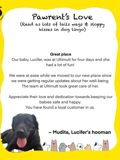 We were so happy to give Lucifer a fun and safe place to stay while her family moved. Getting regular updates about her well being gave her mom, Mudita, the peace of mind she needed during a stressful time.