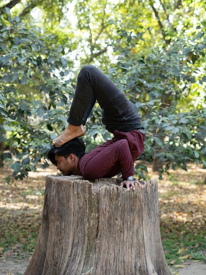 Advanced Asanas: Strength & Balance photo 5