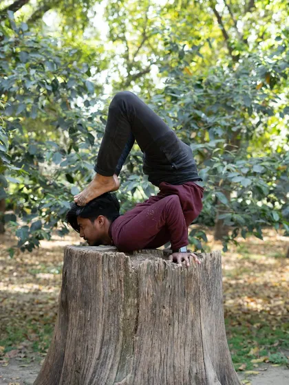 A challenging variation of Scorpion Pose performed on a tree stump, blending the practice with the stability of nature. This asana builds incredible upper body and core strength.