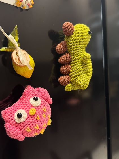 Another look at our adorable crochet fridge magnets. They are a fun and quirky way to personalize your kitchen space.