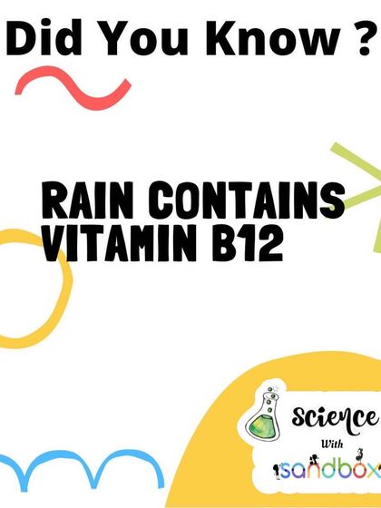 Did you know that rain contains Vitamin B12? It's one of the many surprising science facts we love to share with our curious learners.