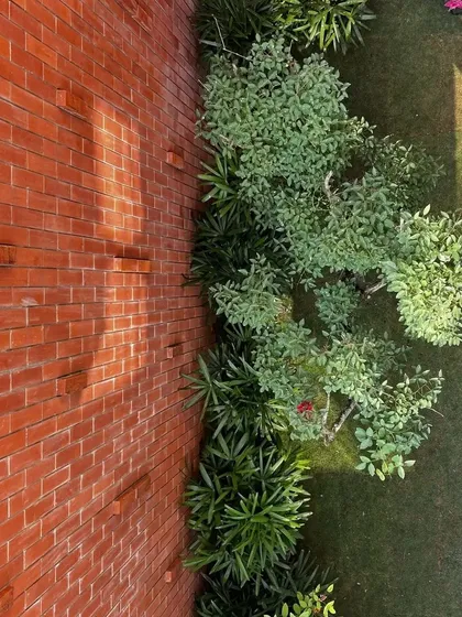 This collection shows various other details from our projects, both completed and in progress. It includes shots of material textures, interior furnishings, light studies, and moments of life that bring our architectural spaces to completion.