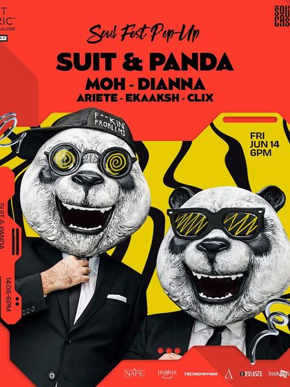 Dianna - Live DJ Performance Soul Fest: My Community Project photo 6