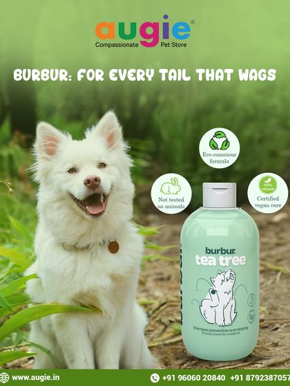 Augie Pets - Pet Supplies Spa Day at Home: Gentle Grooming Essentials photo 39