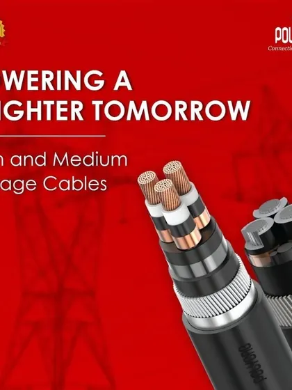 We supply Polycab's high and medium voltage cables, engineered for powering critical infrastructure. These cables feature triple-layer extrusion for maximum safety and are ideal for large-scale power distribution projects. We maintain ready stock for immediate dispatch.