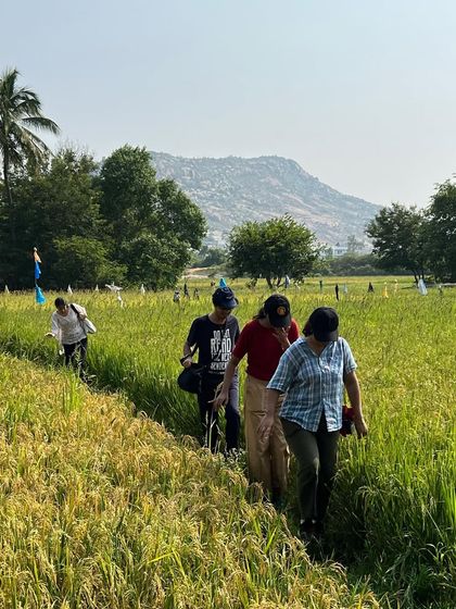 Participants of our photography program walking through a rice paddy on a field trip. Exploring the local landscape provides fresh inspiration and new subjects for their photographic work.