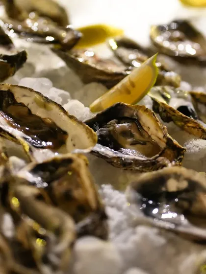 Fresh oysters served on a bed of ice with lemon wedges. We source the freshest seafood to bring you the pure, clean taste of the ocean.