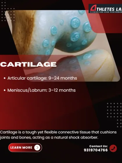 Cartilage and meniscus injuries are among the slowest to heal due to very poor blood supply. Recovery can take anywhere from 3 to 24 months, highlighting the importance of patience and a structured rehab plan.