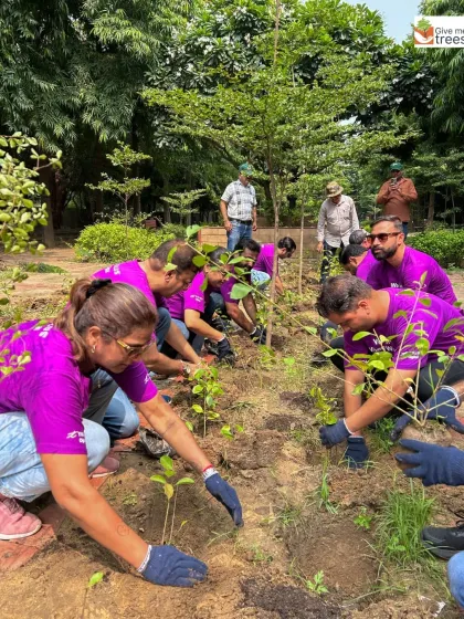 Teamwork in action with Telus Corporate. Planting together builds camaraderie and provides a shared sense of accomplishment that teams take back to the workplace.