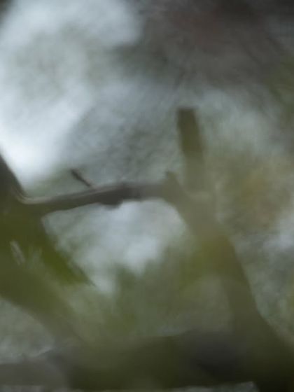 The Art of Seeing: Creative Compositions photo 27