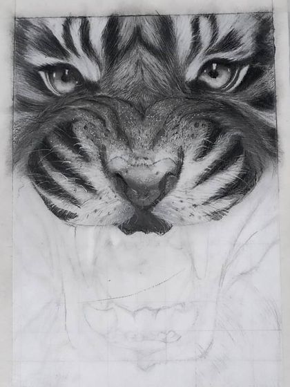 The first stage of the tiger sketch, with the top half of its face emerging from the paper.