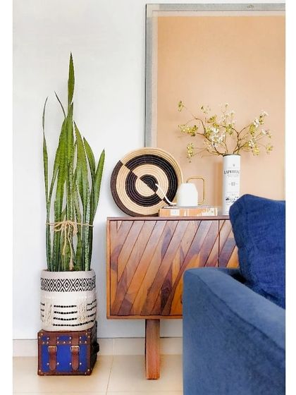 June Walk Design - Single Room Design & Remodeling Entryways, Styling & Other Details photo 8