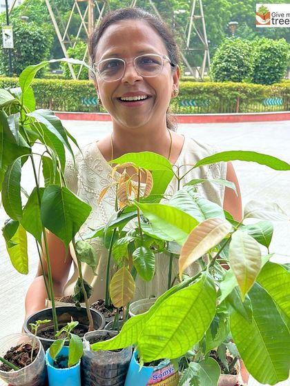 A proud volunteer shows off a tray of healthy mango saplings she has grown and donated. We encourage and support home nurseries, as they play a crucial role in our decentralized model of afforestation.