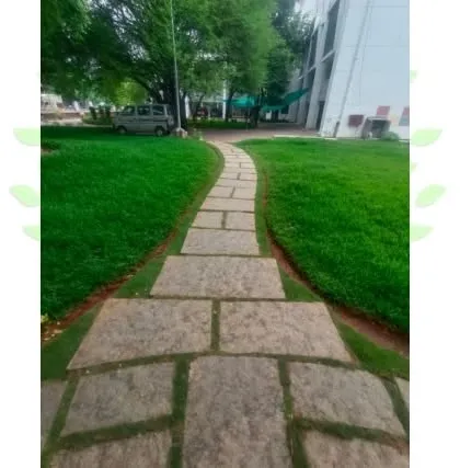 This long, straight pathway was installed at a larger property to create a formal walkway. It's a durable and practical solution for areas with more foot traffic.
