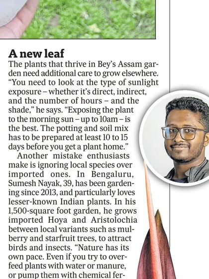 Another quote from the Hindustan Times feature, where I discuss the importance of choosing local species and having patience with nature.