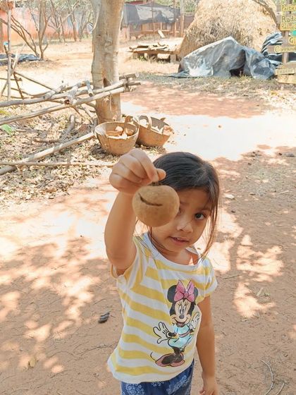 Nivriti Montessori - Summer Camp Field Trips & Outdoor Adventures photo 23