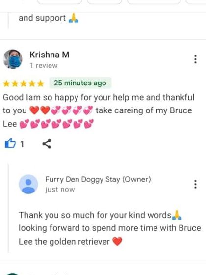 FurryDen - Home Dog Boarding Words from Our Happy Pet Parents photo 6