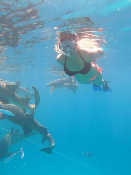 Adventure is a huge part of our journey. Here’s a look at us snorkeling with gentle nurse sharks in the Maldives. It’s an experience that pushes your boundaries and leaves you in awe of nature’s wonders.