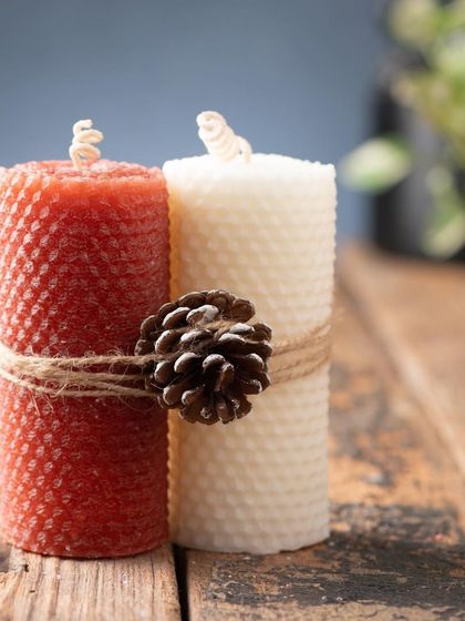 Christmas Wonderland photo 95