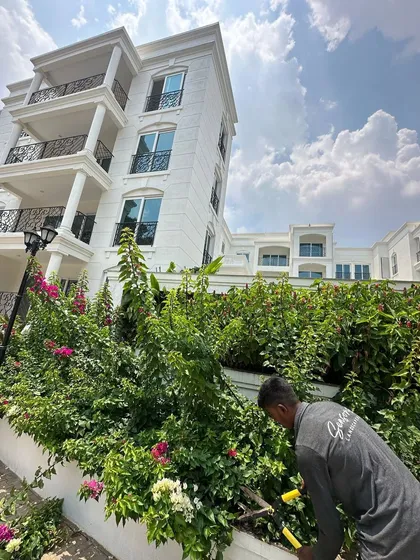 Our dedicated maintenance team in action at the Sankalp Imperial apartment complex. Here, a team member is carefully trimming the Bougainvillea hedges to keep the landscape looking neat and vibrant.