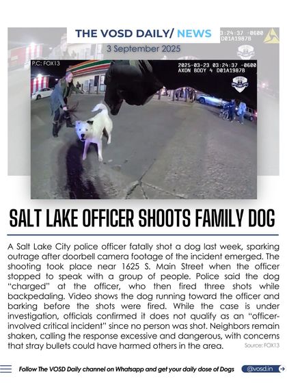 A Salt Lake City police officer shot and killed a family dog, sparking outrage. The incident raises critical questions about police protocols and the need for safe interaction between law enforcement and animals.