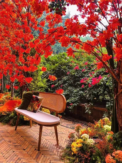 A quiet seating nook nestled within an autumn-themed decor. The bench is placed under trees with fiery red leaves, creating a perfect fall-in-love atmosphere.