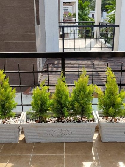 Sqft Farm - Garden & Landscape Design and Setup Our Plants & Planters photo 21