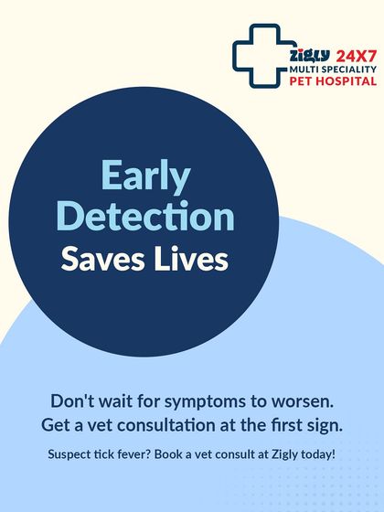 Zigly - Veterinary Services Preventive Care: A Lifetime of Health photo 10
