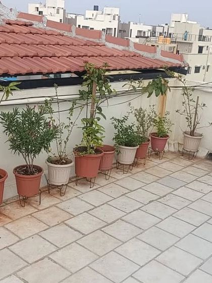 Complete Garden Makeovers photo 4