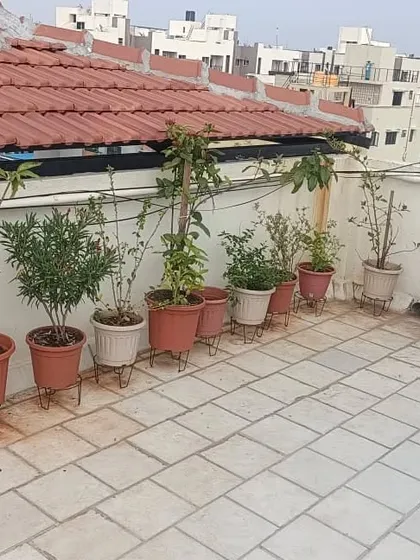 A simple and effective way to green up your terrace is with a neat row of potted plants. I use pot stands to improve drainage and create a clean, organized look on this tiled rooftop.