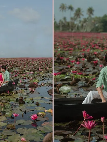 A vibrant pre-wedding scene in Kerala, with the couple in a canoe amidst countless lotus blooms. The bright colors and serene setting make for a stunning photograph.