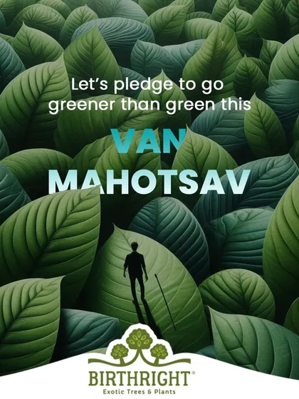 This Van Mahotsav, we pledge to go greener than green. It's a commitment to not just plant trees, but to foster a deeper connection with nature and inspire a movement of collective environmental responsibility.