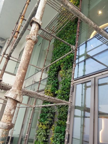 Vertical Green Walls photo 39
